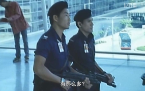 [2001][香港][重装警察][粤语中字][MKV][2.08GB][1080P][百度盘]